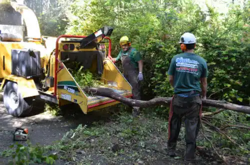 tree services Denali Park